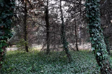 Parc Bordelais (8).